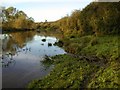 River Tees