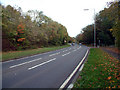 A21 Sevenoaks Road near Pratt