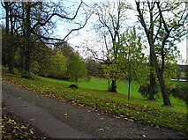 SD5328 : Avenham Park by andrew walmsley