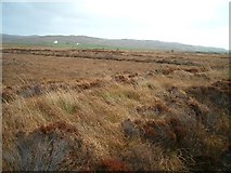 NR3448 : Peat Bog near Kintra River, Isle of Islay by Patrick Mackie