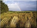 Croft Land And a Rainbow at Achfrish