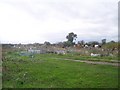 Nortenham Allotments, Bishop