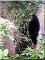 W7767 : South Portal of Passage Tunnel, Glenbook, Co Cork by Ralph Rawlinson