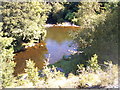 Confluence of the Taff Fechan and Taff Fawr