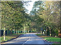 Gledhow Valley Road, near Chapel Allerton