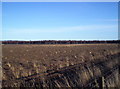 An empty Field next to the former RAF Edzell