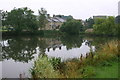 The Duck Pond, Grewelthorpe