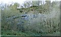 Long abandoned quarry near Blaengweche