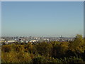 Liverpool from Bidston Hill