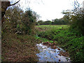 Stream near Norlington Gate Farm