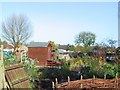 Yew Tree Allotments