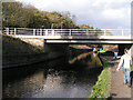 Tesco bridge, Peak Forest Canal