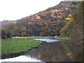 West Looe River