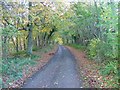 NZ7516 : Ridge Lane, Roxby Woods by Mick Garratt