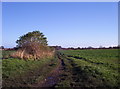 Public Footpath