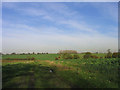 TL5107 : Farm Track, Magdalen Laver, Essex by John Winfield