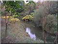 Wince Brook, Middleton