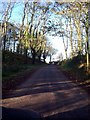 Wood between Windyridge and Borewell