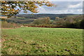 The Taw valley viewed from Trenchard Farm