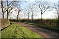 Country Road near Waltham on the Wolds, Leicestershire