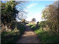 Sabrina Way Crossing Nottingham Hill