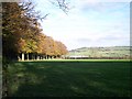 Beech Trees to Wickfields Farm