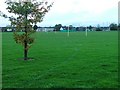 Harold Wilson Sports Ground, Thornaby