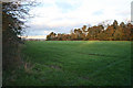 Farmland at Scalford Hall