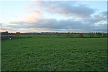 SK7421 : Farmland near Melton Mowbray by Kate Jewell