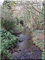 Penberth River at Crean Bottoms