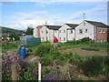 Penrith Allotments