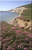 SZ3685 : Compton bay cliffs from Compton Chine by Keith Duff