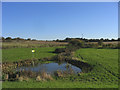 North Weald Common, Essex