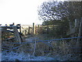 Disused farm pens on edge of minor road.