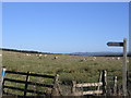 Rural Footpath.