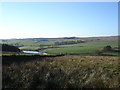 Winterburn Reservoir and grazing sheep