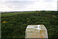 Strathlene Golf Course trig