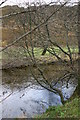 River Almond in the Sma Glen