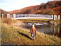 Footbridge between the 2 lakes in the Millennium Park