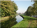 The New River, Broxbourne