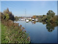 River Lee Navigation: Marina, Stanstead St. Margarets