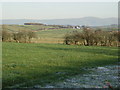 Farmland near Whitbarrow Farm