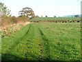 View North East From Brompton Lane