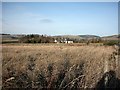 Cottage at Whitehillfaulds Farm