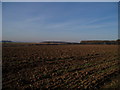 Ploughed field, looking towards Clapham