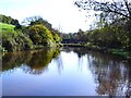 Fishing pool - South Devon