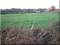 Farmland, Lower Mannington, Dorset