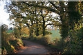 Broadclyst: lane near Frogmore Farm