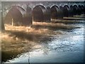 SS5532 : Barnstaple Long Bridge on a crisp morning. by Grant Sherman