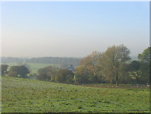 TQ5889 : Hole Farm, Great Warley, Essex by John Winfield